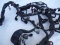DSC08549.JPG