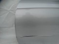 DSC04625.JPG