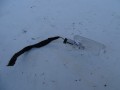 DSC01642.JPG