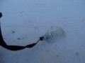 DSC01643.JPG