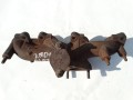 DSC06407.JPG