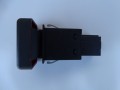 DSC00773.JPG