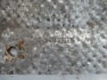 DSC02139.JPG