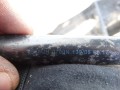 DSC06902.JPG