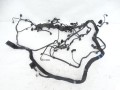 DSC02352.JPG
