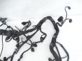 DSC02354.JPG