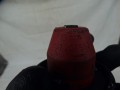 DSC06056.JPG