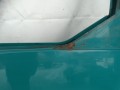 DSC06122.JPG