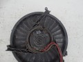 DSC06244.JPG