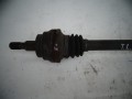 DSC02508.JPG