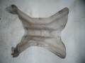 DSC02629.JPG
