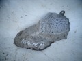DSC02840.JPG