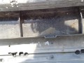 DSC00974.JPG