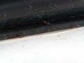 DSC04387.JPG