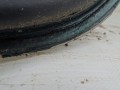 DSC04389.JPG