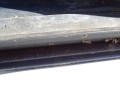 DSC05248.JPG