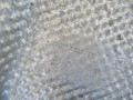 DSC02511.JPG