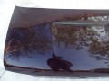 DSC02437.JPG