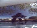 DSC02439.JPG