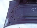 DSC02445.JPG