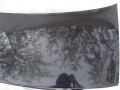 DSC03345.JPG