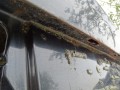 DSC03442.JPG