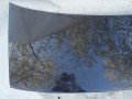 DSC04139.JPG