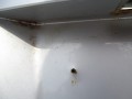 DSC09428.JPG