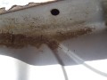 DSC09589.JPG