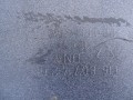 DSC01550.JPG