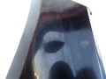 DSC01777.JPG