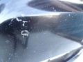 DSC01779.JPG