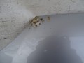 DSC04796.JPG