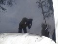 DSC04864.JPG
