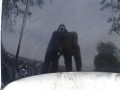 DSC04865.JPG