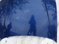 DSC04874.JPG