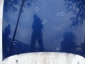 DSC04875.JPG