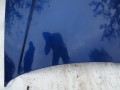 DSC04885.JPG