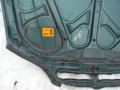 DSC04915.JPG