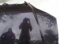 DSC04931.JPG