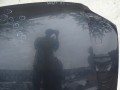 DSC04973.JPG