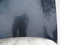 DSC04974.JPG