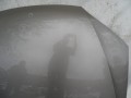DSC05035.JPG