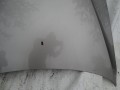 DSC05036.JPG