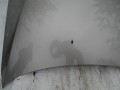 DSC05037.JPG