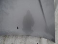 DSC05081.JPG