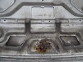 DSC05159.JPG