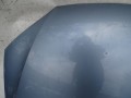DSC05176.JPG