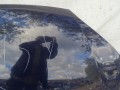 DSC05184.JPG