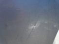 DSC05353.JPG